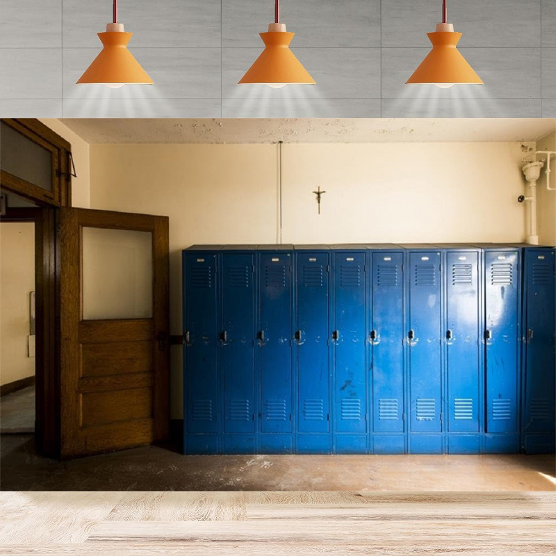 Home Gym Old School - Sfondo Fotografico con Armadietti Antichi, Armadio