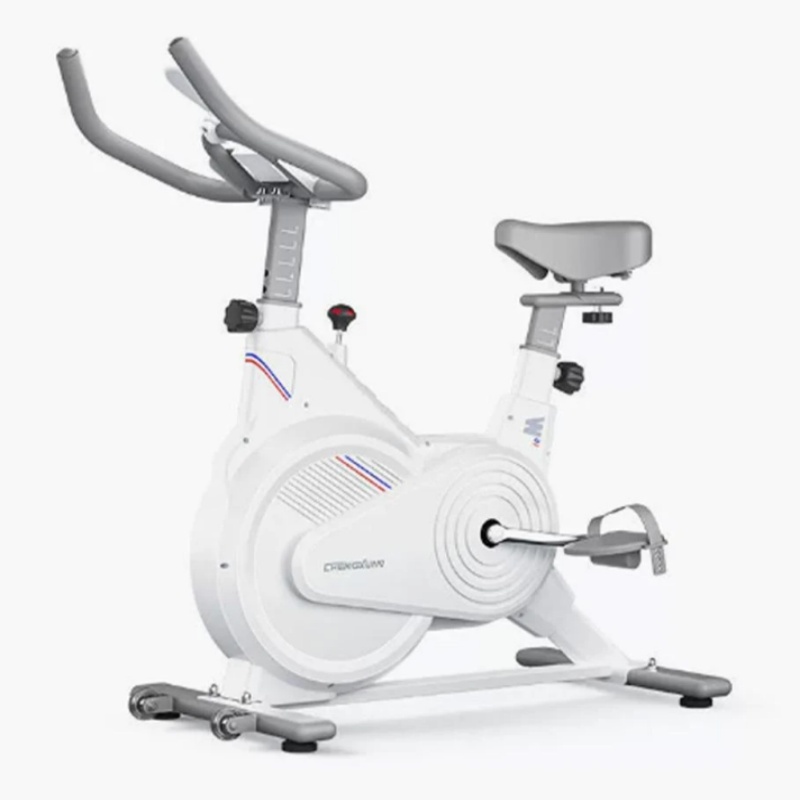Home Gym Gear - Cyclette da Interno, Bici da Spinning