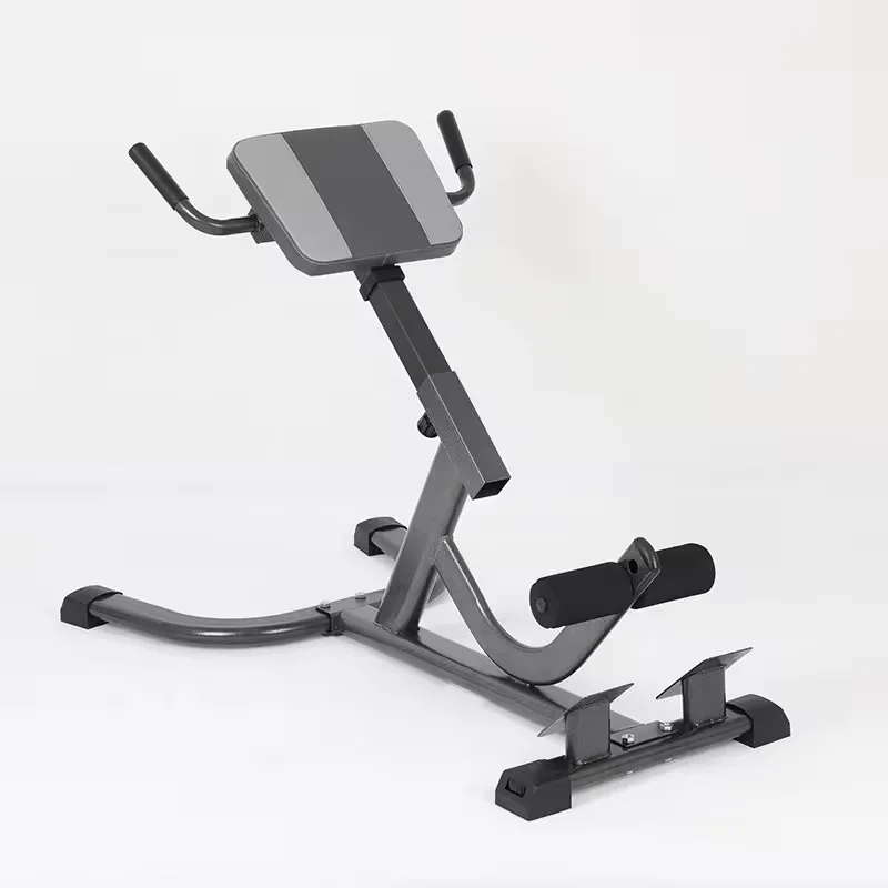 Panca Romana in Acciaio 2026 R - Home Gym Hamstring Exercises recensione e prezzo