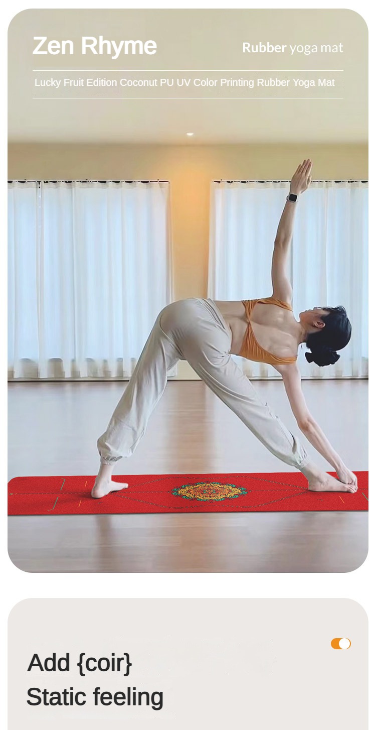 Zen Rhyme glassato Pu tappetin - Home Gym Rubber Flooring recensione e prezzo