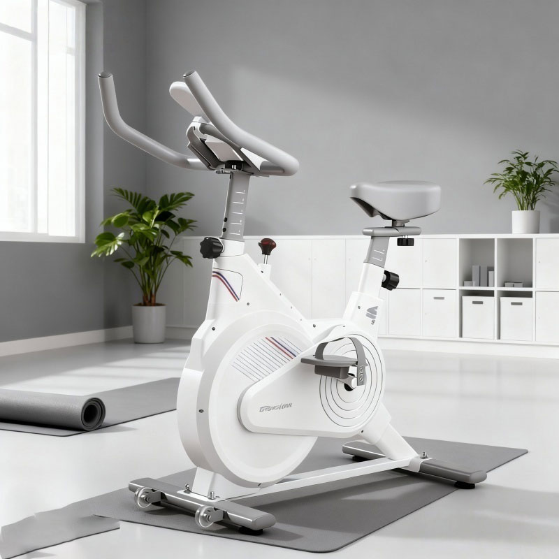 Cyclette da Interno, Bici da S - Home Gym Gear recensione e prezzo