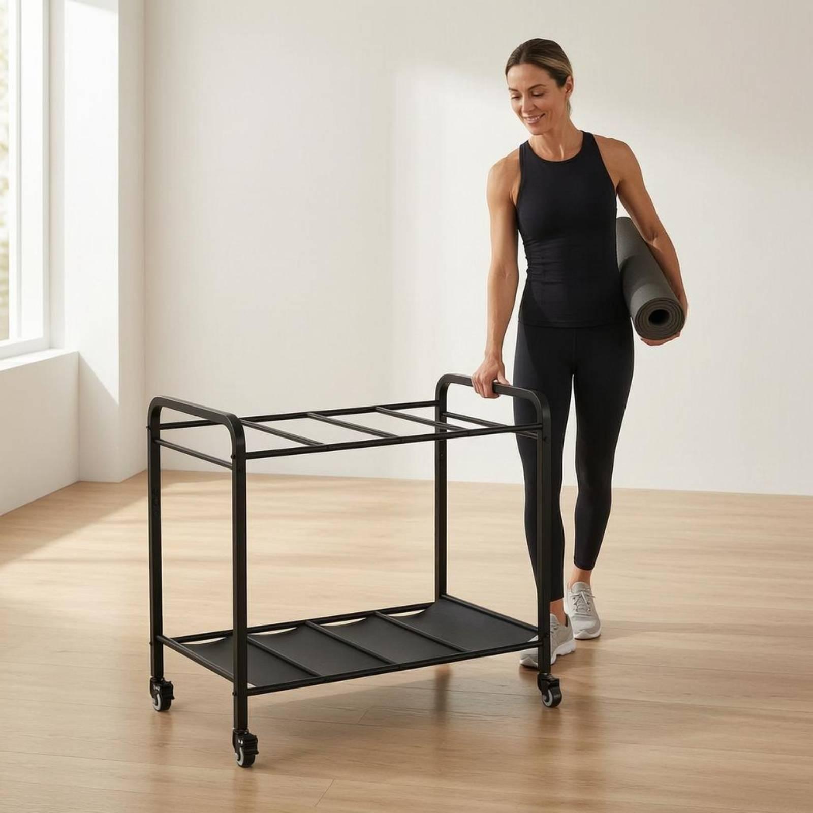 Carrello Portaoggetti Mobile p - Home Gym Gear recensione e prezzo